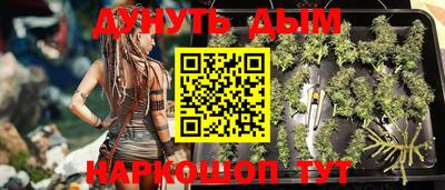 индика Свободный